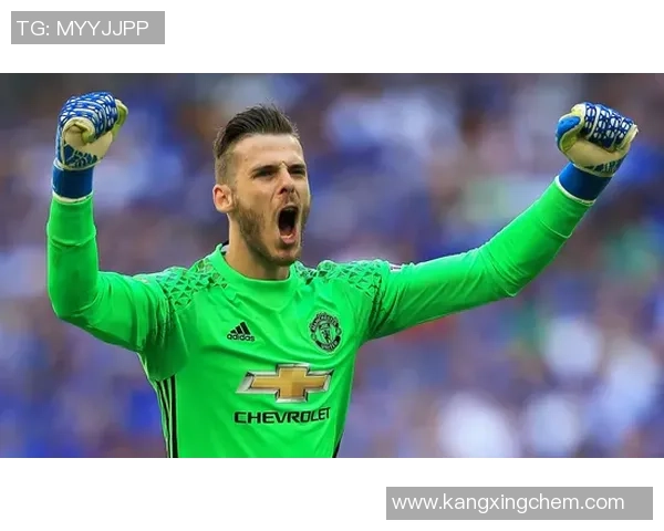 足球明星伊布手办的魅力与收藏价值探讨